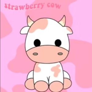 Meet your Posher, Estefany